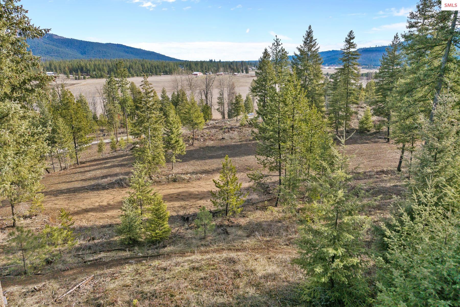 Exquisitely treed and park-like five-acre parcel