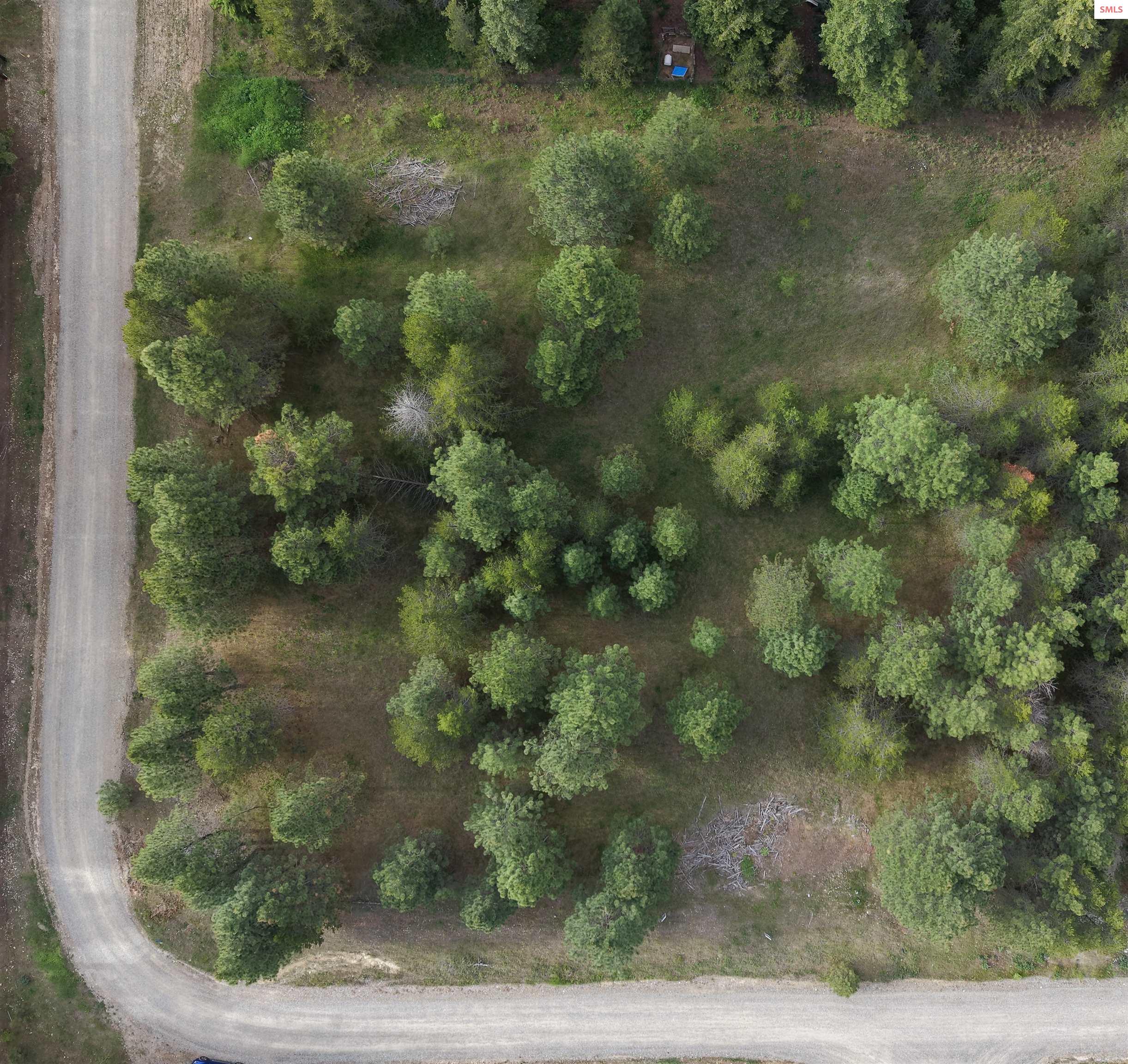 Freshly graded gravel road looking NW at the property