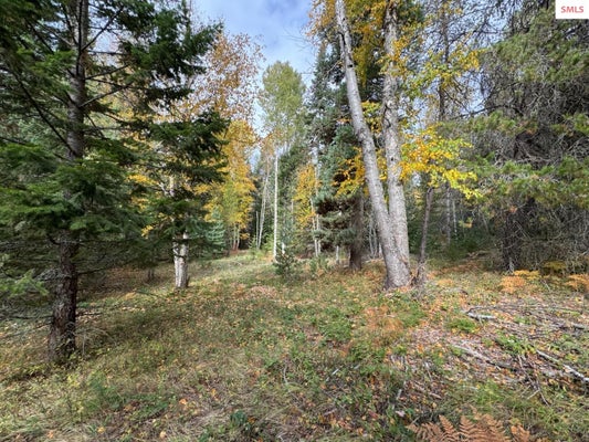 NNA RASCALS RD, SANDPOINT, ID 83864 - Image 5a426af5dfdcaf1bd8a842c0fba7e23b/840017109
