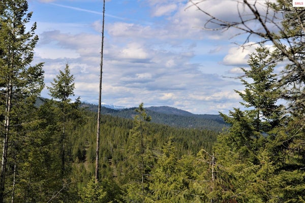 699 OUTLOOK RD, COCOLALLA, ID 83813 - Image 5d07e05fa7c016c4f648eacb9519dc55/820774524