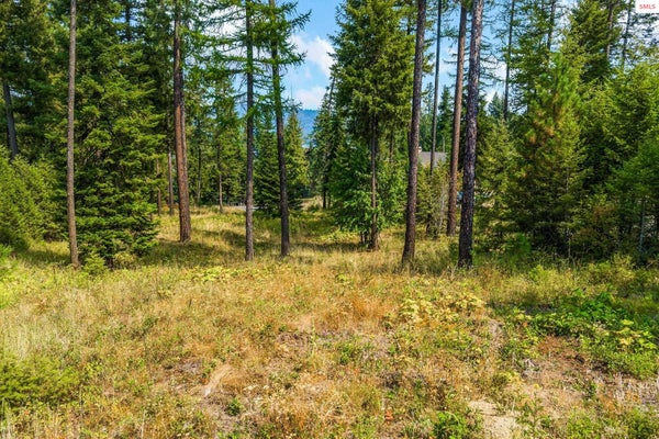 12 DEETER DR, PRIEST RIVER, ID 83856 - Image 66dde00a55b56b2439aeca9918523dd9/473823173