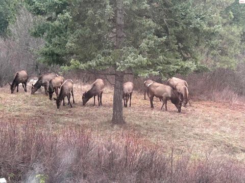 Photo of 21160 N. Corbin Hill Rd, Hayden, ID 83835 (MLS # 20251681)