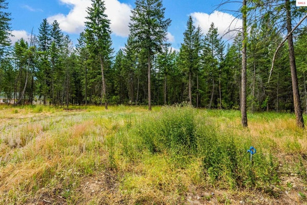 260 HARDY LOOP, BONNERS FERRY, ID 83805 - Image 9378d104f4ebada50da1bfc59eefbcbb/2870599672
