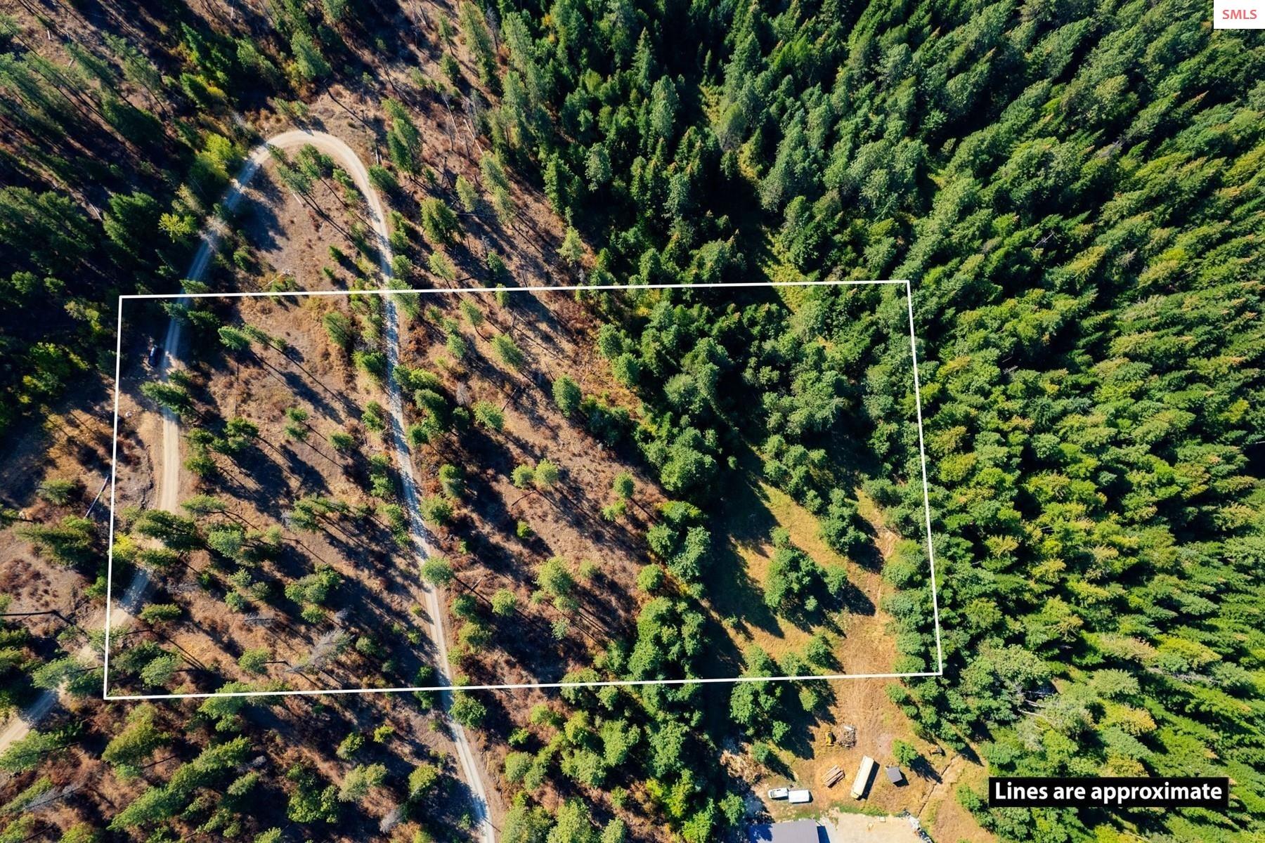 Lines are digitally added and approximate