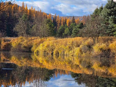 Photo of 1310 Tamarack Lane, Yaak, MT 59935 (MLS # 20252759)