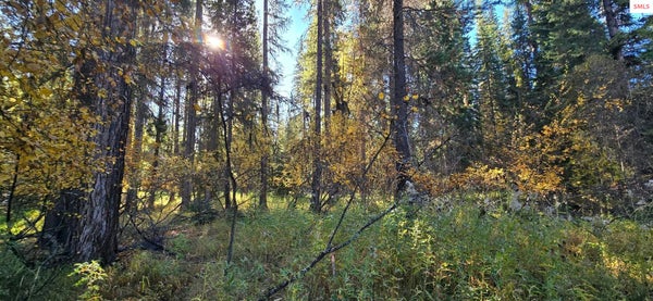 1057 TAMARACK LN, TROY, MT 59935 - Image b79bcd61cbf42f67c43c14cafa0d24cc/475489811