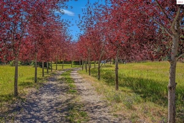 ADDRESS PRIVATE, MOYIE SPRINGS, ID 83845 - Image dbb45196d8e1bc7fab636870d8bbccf2/1699316269