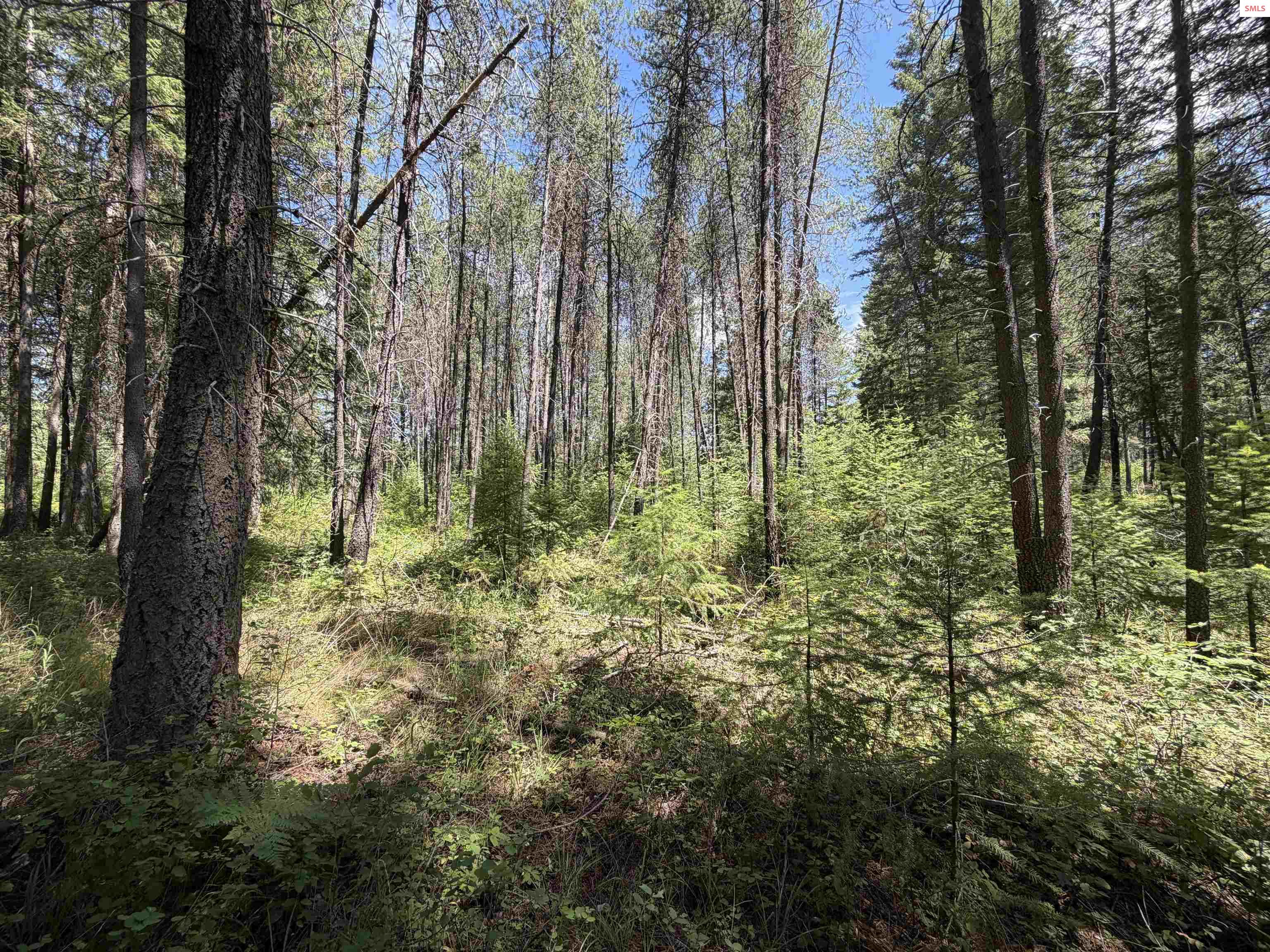 Photo 1 of 18 — NNA 46 Ares Way, Priest River, ID 83864