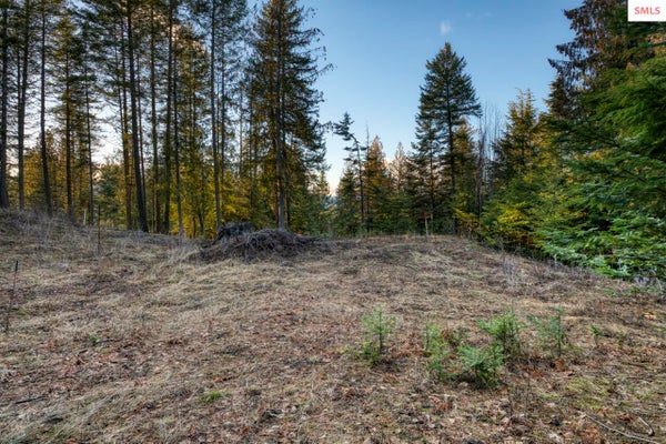 ADDRESS PRIVATE, SANDPOINT, ID 83864 - Image e6a89e20a95a9e4fa8c85e4d8da0d2b5/990545911