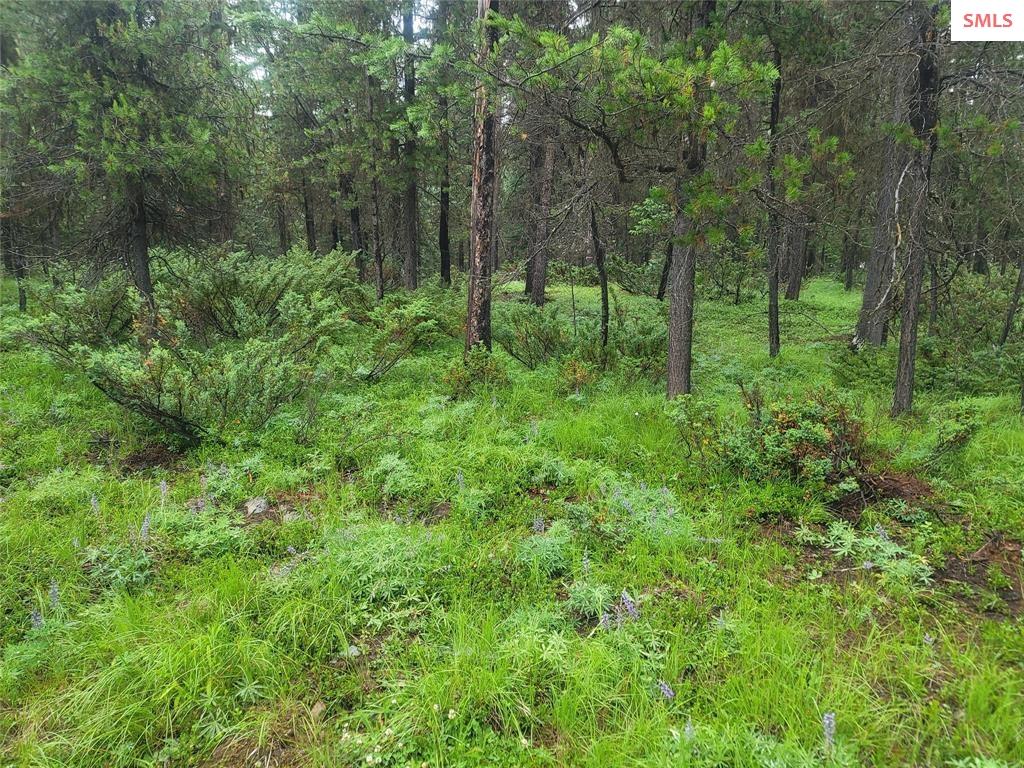 Photo 1 of 9 — 104 Lone Wolf Trail, Yaak, MT 59935