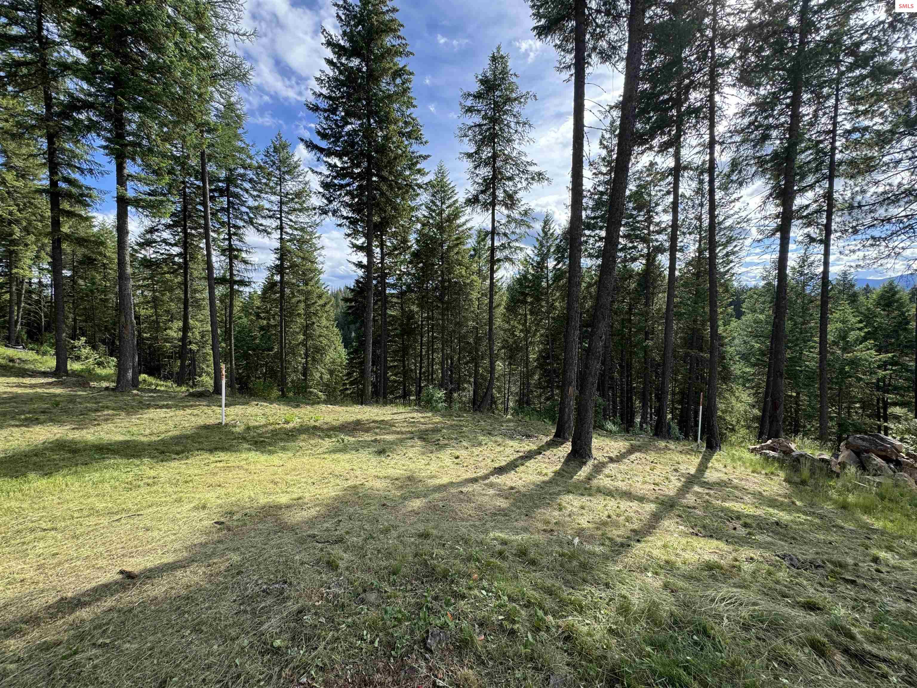 Photo 1 of 44 — NNA Wildflower Way Blk 3 Lot 9, Sandpoint, ID 83864