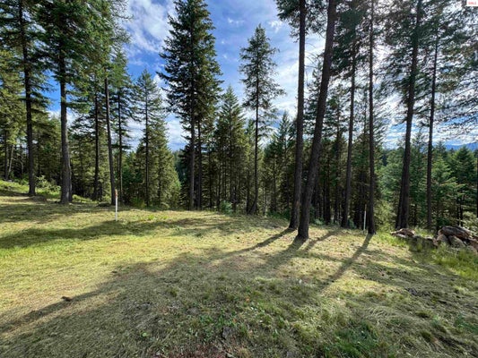 13 LOTUS LN, PONDERAY, ID 83852 - Image fe6702d45a7296e6a09c4b7eec618d1a/1761640026