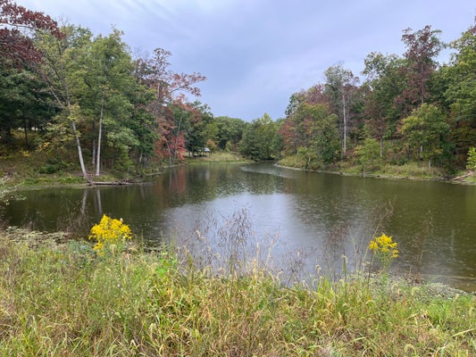 N TIMBERLAKES CIR, HARRISBURG, MO 65256 - Image 1af11dbd578c0a97283e0c0292ccb231/3473994517
