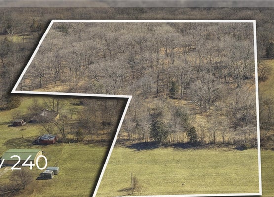 4220 HIGHWAY 240, ROCHEPORT, MO 65279 - Image 20a1a1b2d4acd8efea71ed64c733981b/4100901529