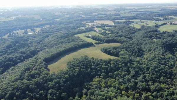 S BOB VEACH RD, ASHLAND, MO 65010 - Image 2e2a6aa5de9d57d73e067dec3ce9dadf/3481878395