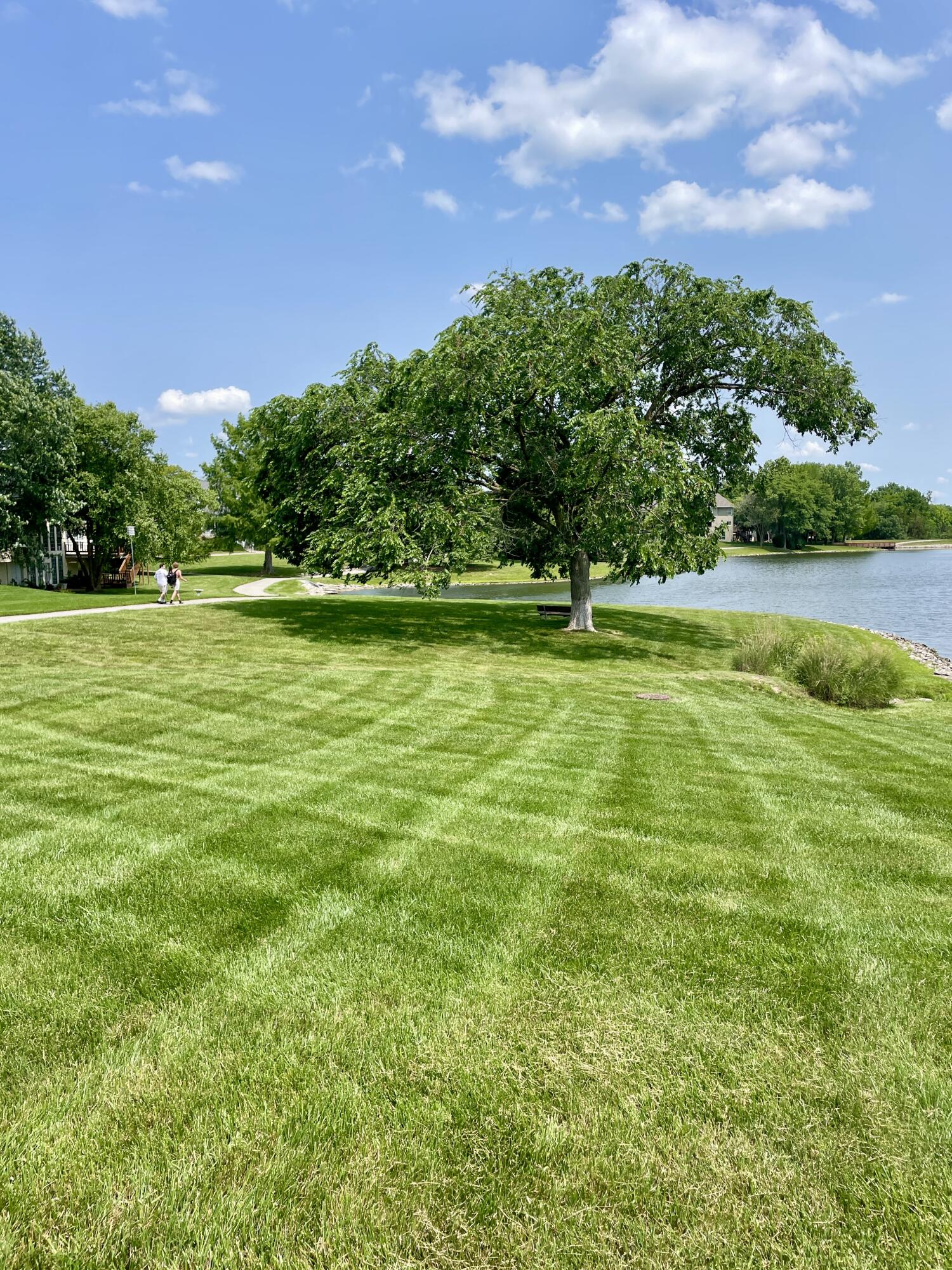 Columbia, Missouri 65203, United States, 3 Bedrooms Bedrooms, ,3 BathroomsBathrooms,Residential,Active,144406