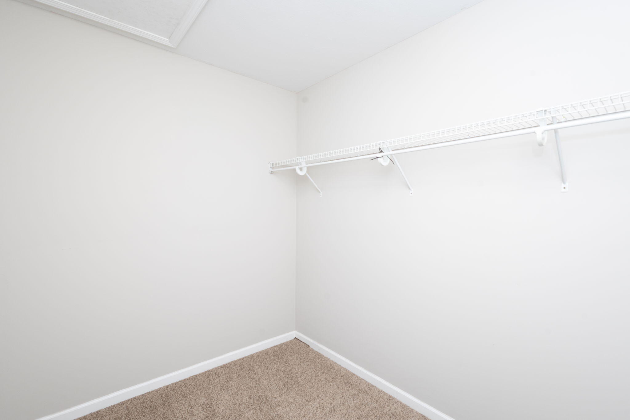 Columbia, Missouri 65202, United States, 5 Bedrooms Bedrooms, ,4 BathroomsBathrooms,Residential,Active,137923