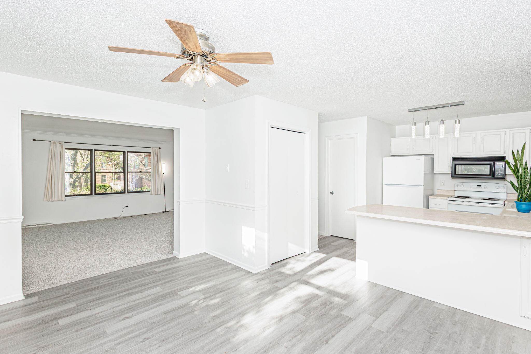 Columbia, Missouri 65203, United States, 4 Bedrooms Bedrooms, ,3 BathroomsBathrooms,Residential,Active,108669