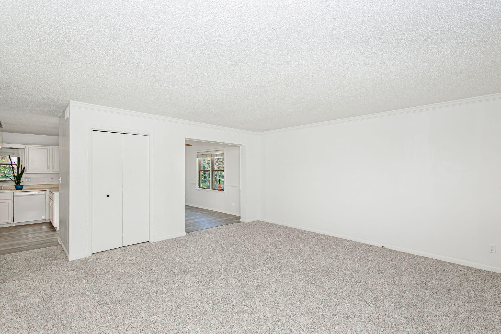 Columbia, Missouri 65203, United States, 4 Bedrooms Bedrooms, ,3 BathroomsBathrooms,Residential,Active,108669