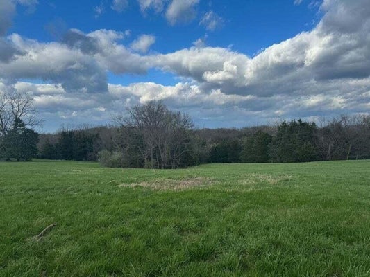 LOT 102 WARREN SCHOOL RD, COLUMBIA, MO 65203 - Image e071dfd158ce94dc7e3d3b0529544e29/2238888751