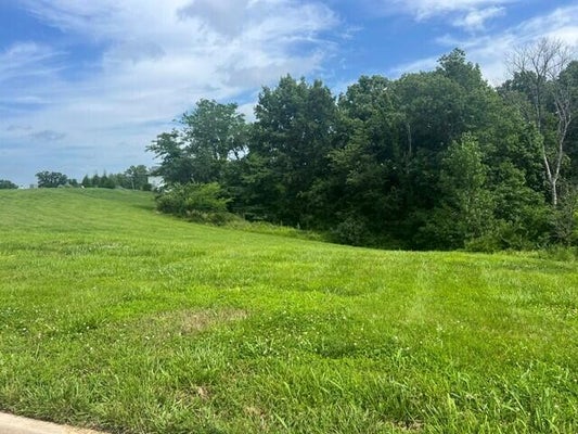 W WAY CT, COLUMBIA, MO 65203 - Image e57258fd10b34258b906a59ebcc7fa2d/2572185568