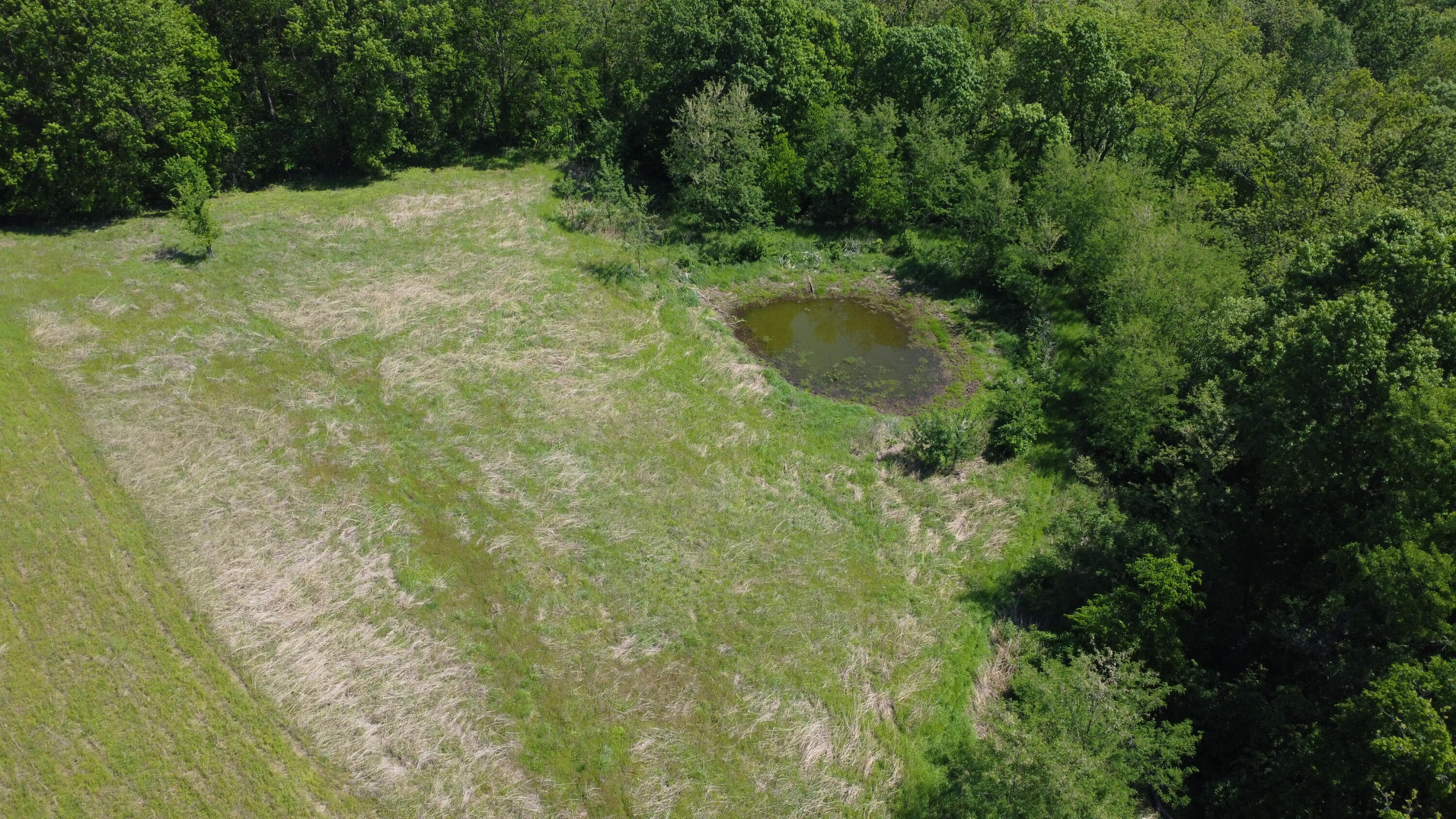 5400 E Giesing Hill Rd, Hartsburg, MO, 65039, USA, 6 Bedrooms Bedrooms, ,5 BathroomsBathrooms,Residential,Active,5400 E Giesing Hill Rd,434371