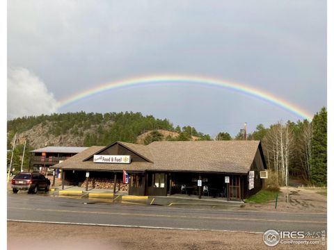 1085 Highway 7- Business Route Hwy Allenspark CO 80510