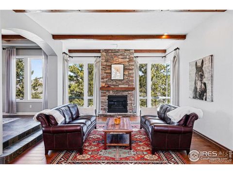 290 Skyhill Dr Evergreen CO 80439