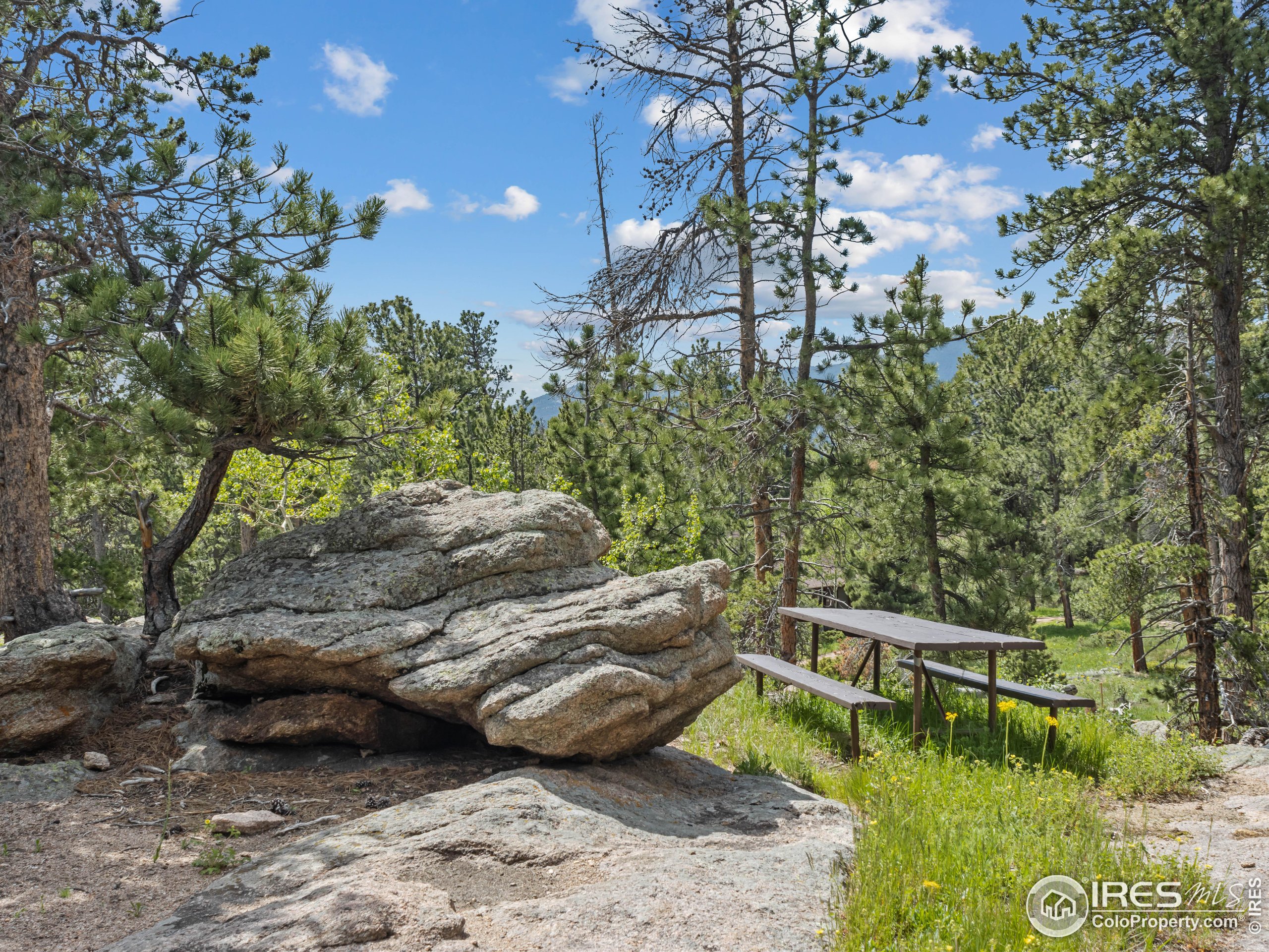 84 County Road 113 N