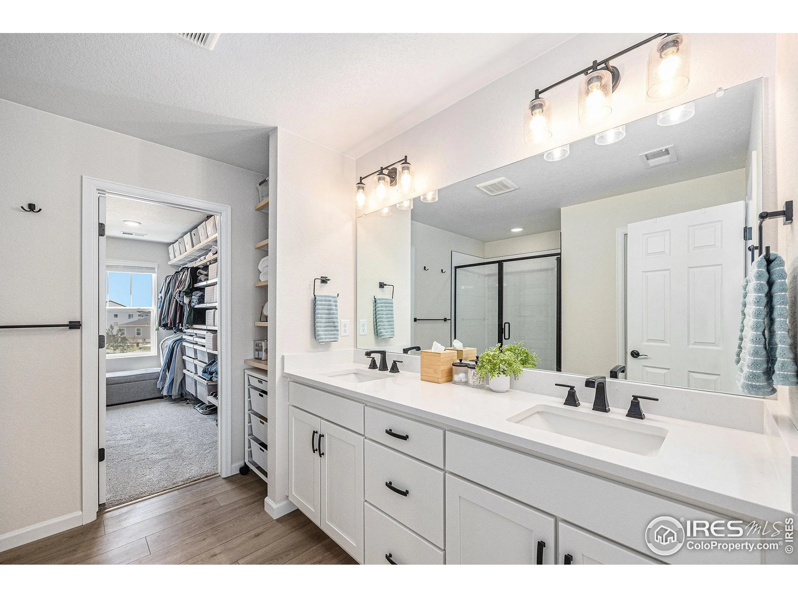 Erie, Colorado 80516, United States, 3 Bedrooms Bedrooms, ,3 BathroomsBathrooms,Residential,Coming Soon,164919