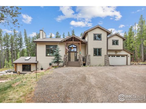 225 Indian Peaks Dr Nederland CO 80466