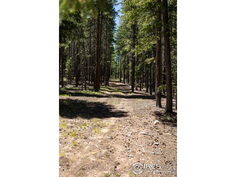 1001 Pactolus Lake Rd Black Hawk CO 80422