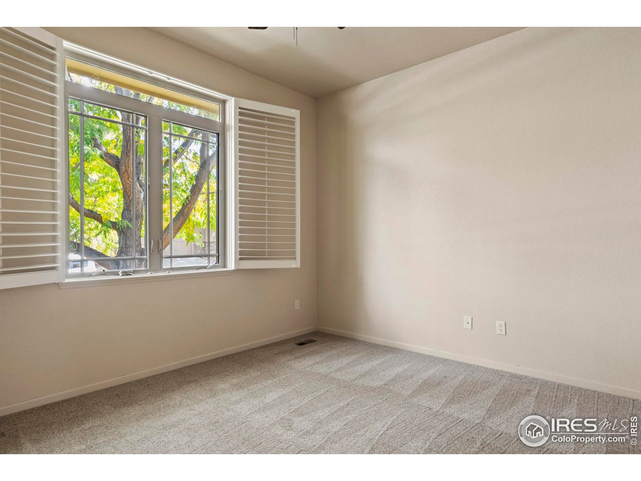 Windsor, Colorado 80550, United States, 4 Bedrooms Bedrooms, ,4 BathroomsBathrooms,Residential,Active,137429