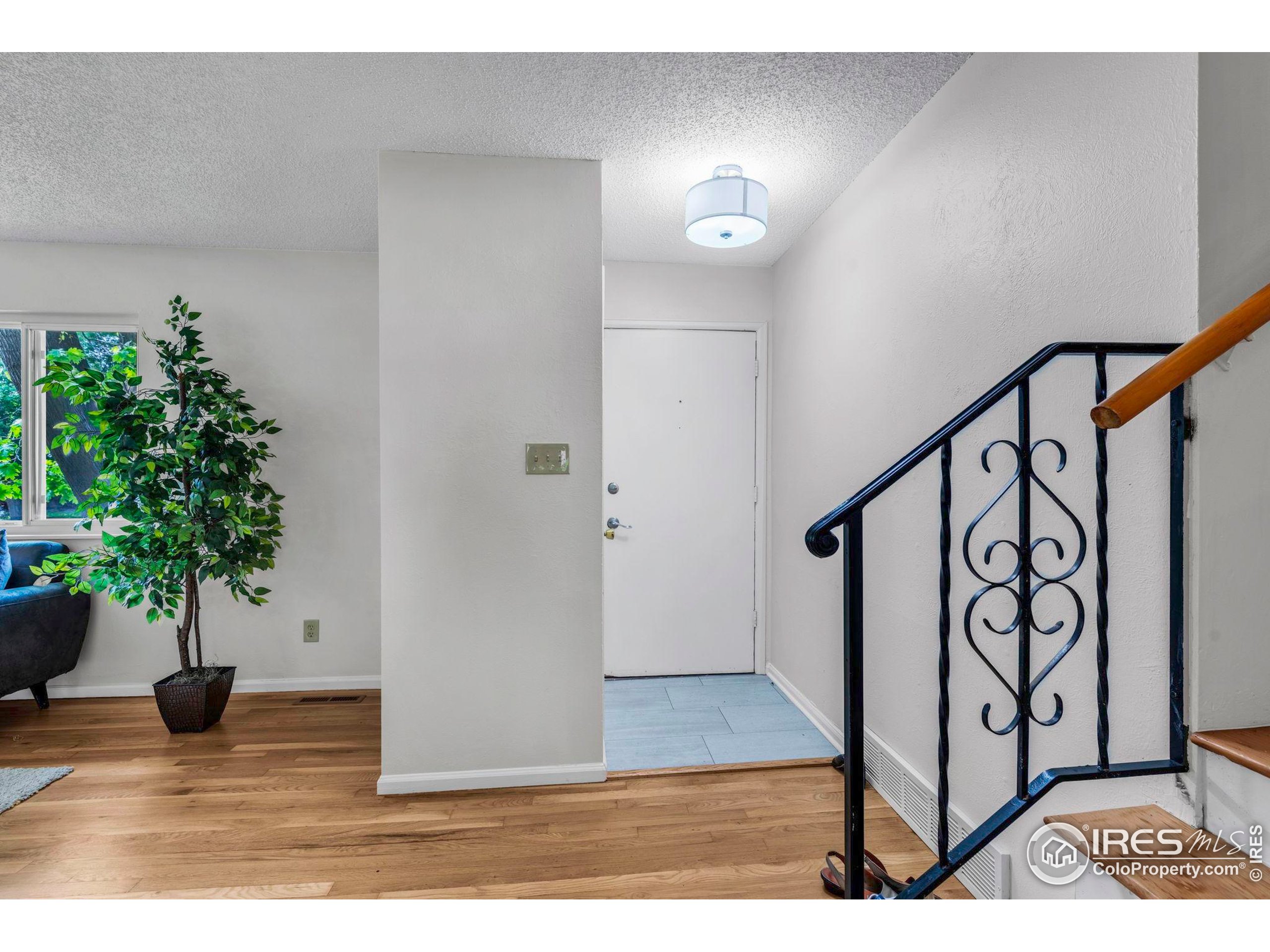 1426 Brookfield Dr