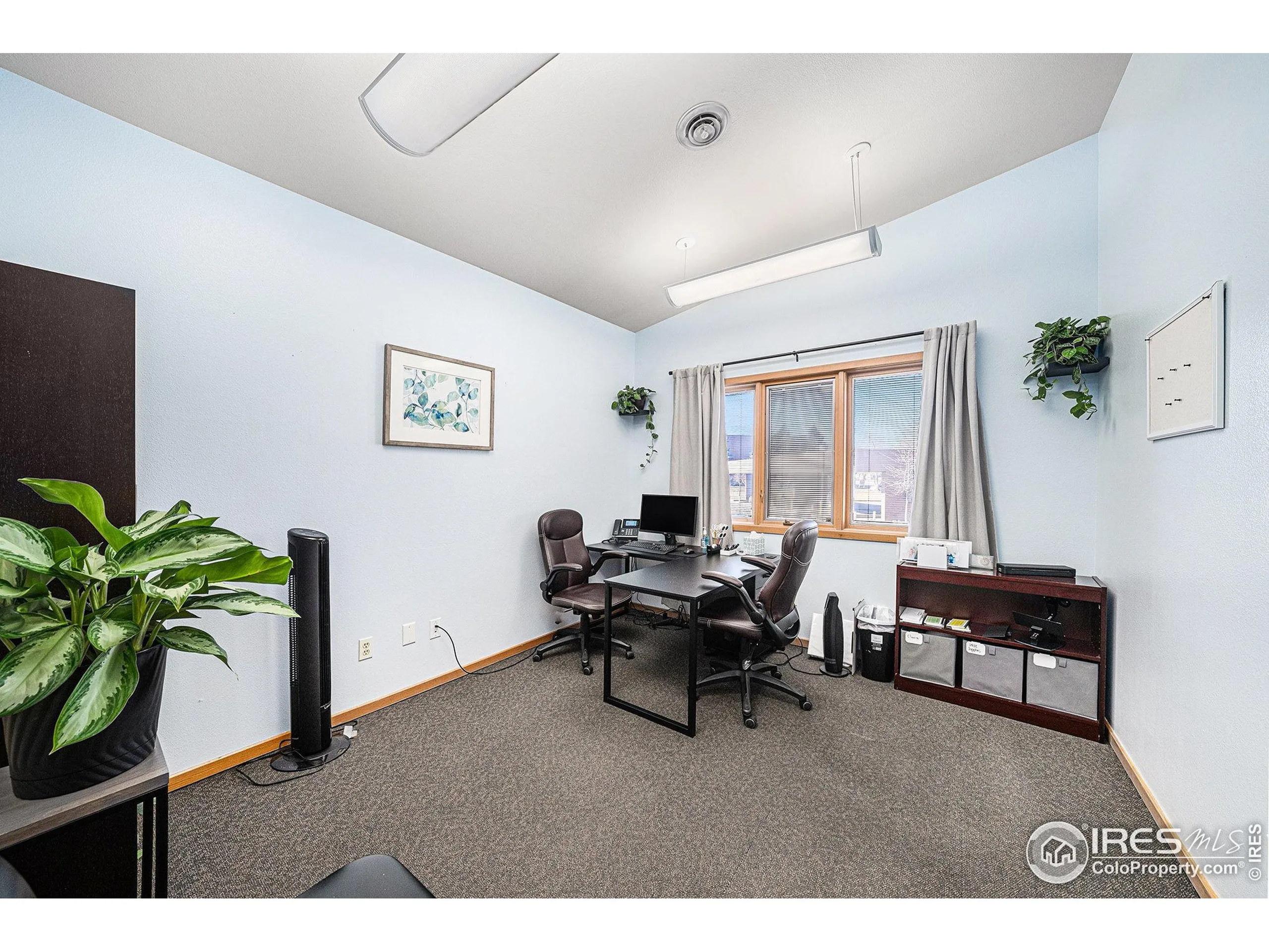 Fort Collins, Colorado 80525, United States, ,Commercial,Active,250793