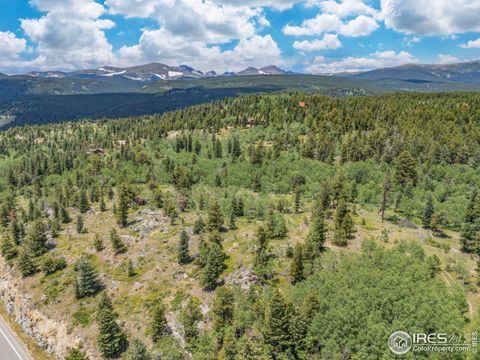 1568 County Road 103 Nederland CO 80466