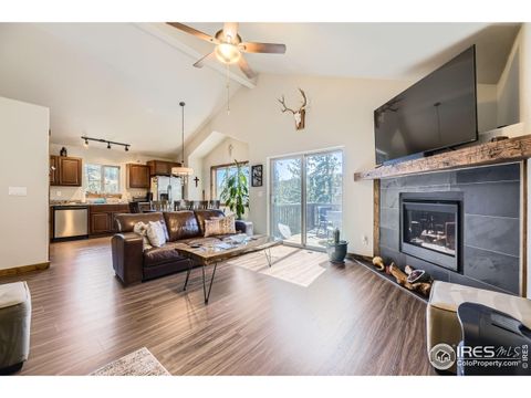 204 Virginia Rd Bailey CO 80421