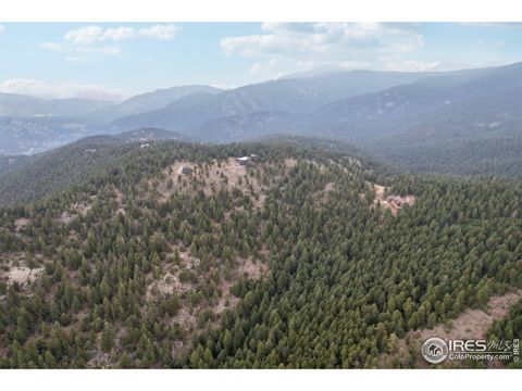 2091 Magnolia Dr Nederland CO 80466