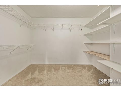 Tiny photo for 6200 W 95th Ave, Westminster, CO 80031 (MLS # 1044919)