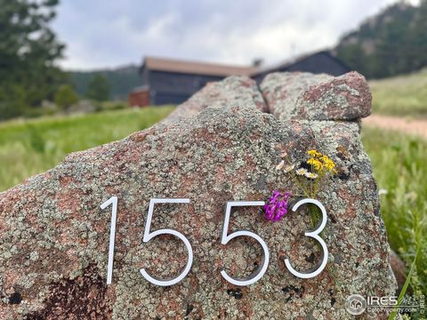 1553 Rowell Dr Lyons CO 80540
