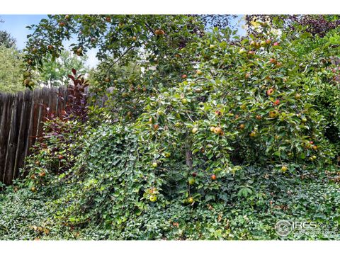 Tiny photo for 2423 23rd St, Boulder, CO 80304 (MLS # 1042963)