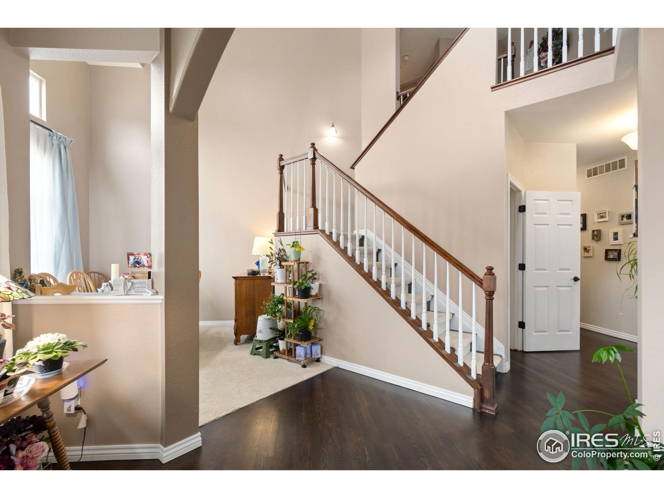 2193 Sand Dollar Cir