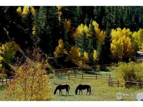 7127 Highway 72 Nederland CO 80466