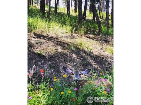 Tiny photo for 2990 Linden Dr, Boulder, CO 80304 (MLS # 1043472)