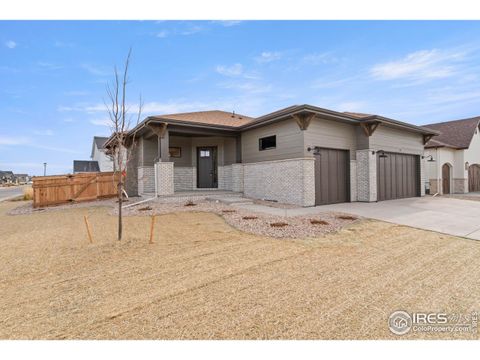Photo of 783 Canoe Birch Dr, Windsor, CO 80550 (MLS # 1047948)
