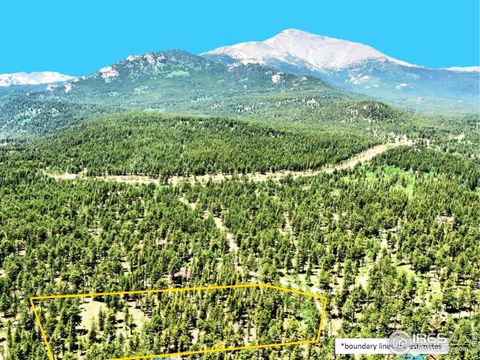 246 Tahosa Park South Rd Allenspark CO 80510