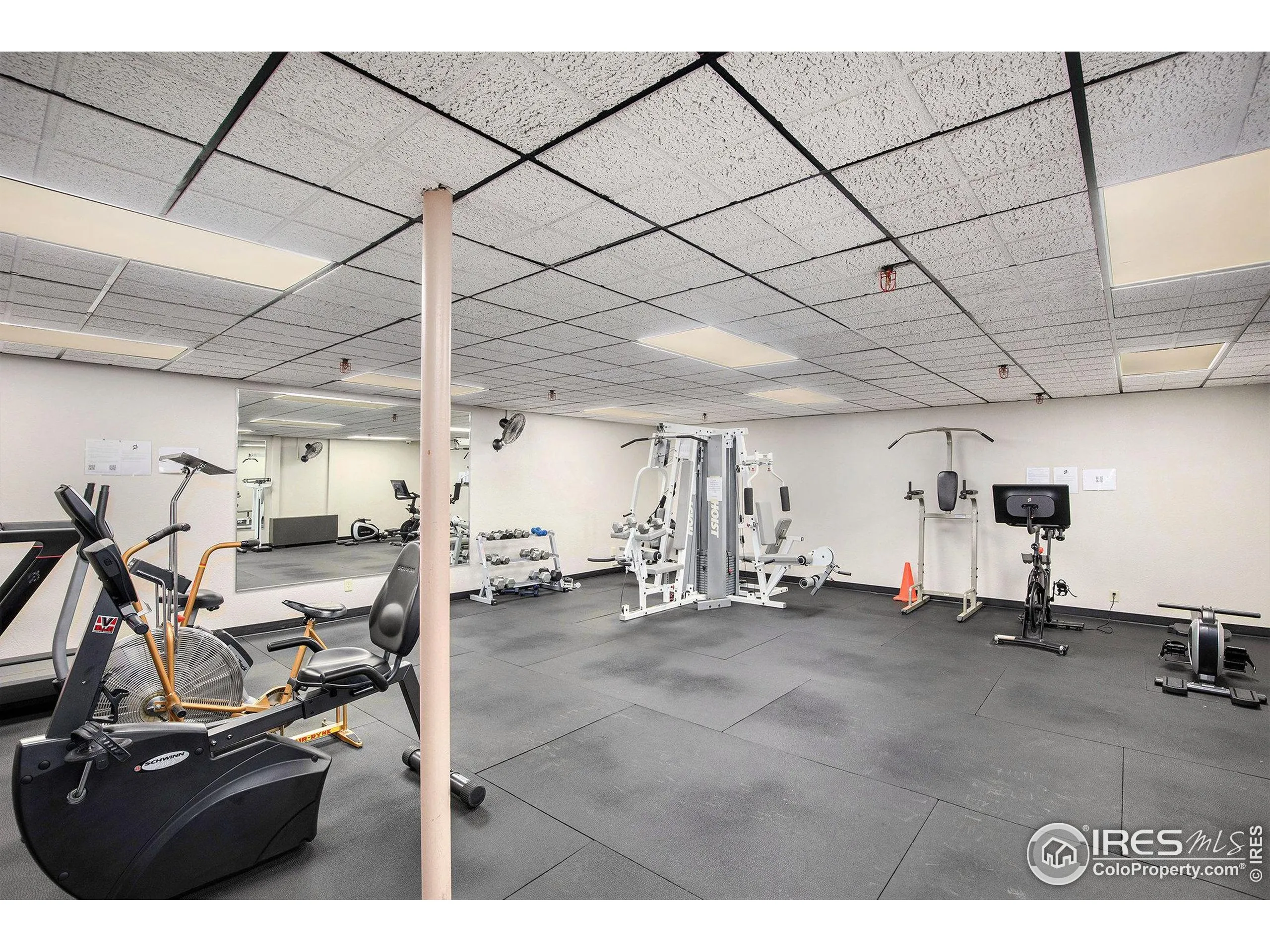 Fort Collins, Colorado 80521, United States, 2 Bedrooms Bedrooms, ,1 BathroomBathrooms,Residential,Active,156095