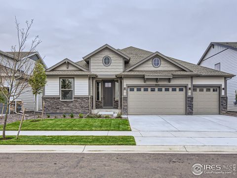 1822 Crisp Air Dr, Windsor, CO 80550 - #: 966444