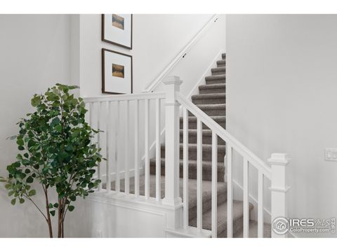 Tiny photo for 198 Westerly Blvd, Erie, CO 80516 (MLS # 1048033)