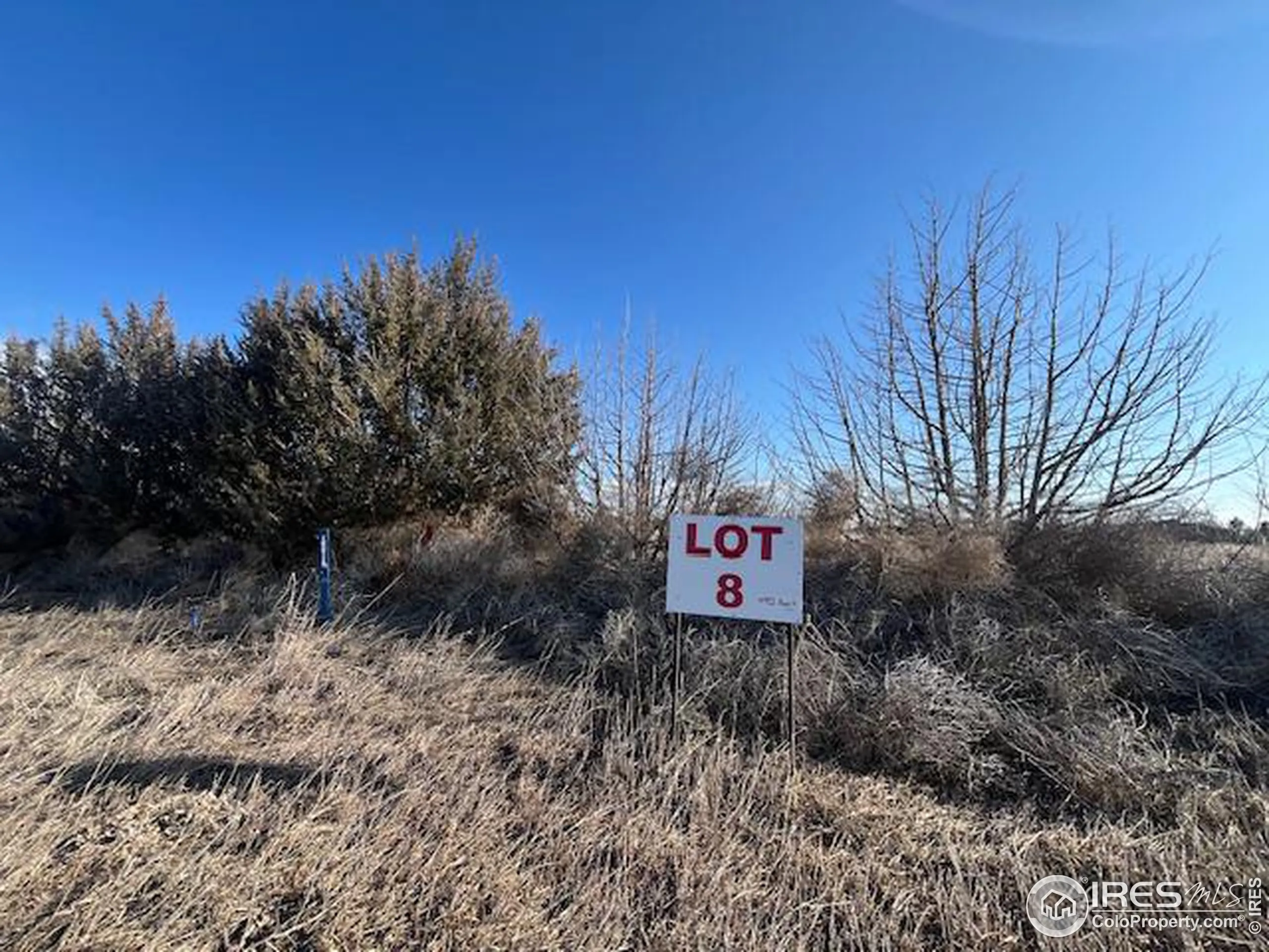 Wiggins, Colorado 80654, United States, ,Land,Active,85087